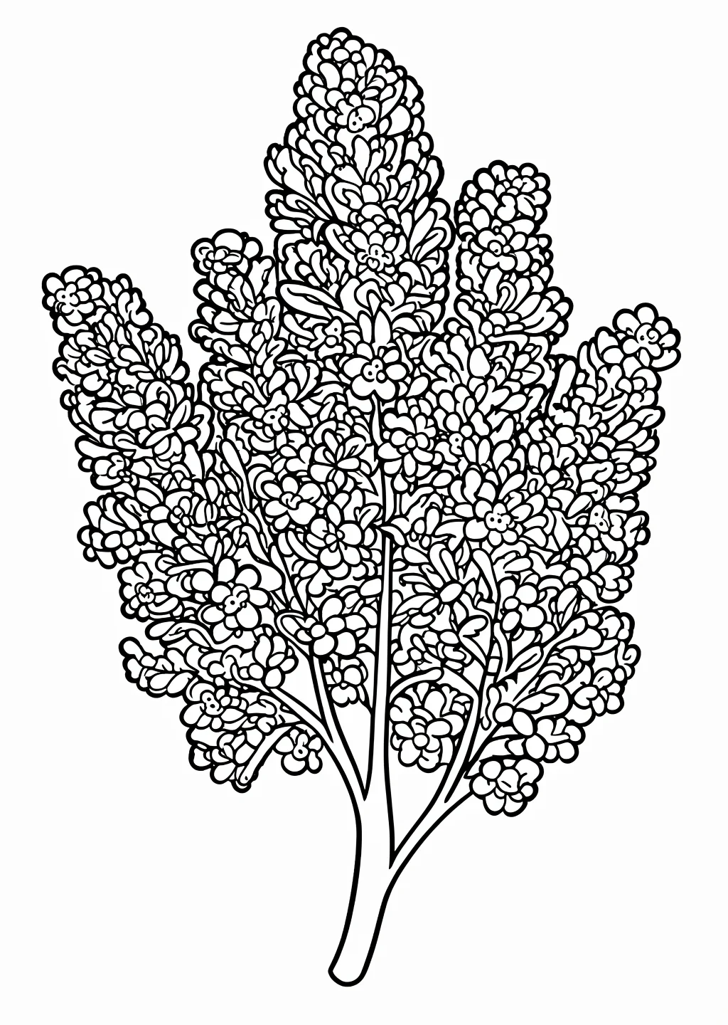 Lilac Coloring Page