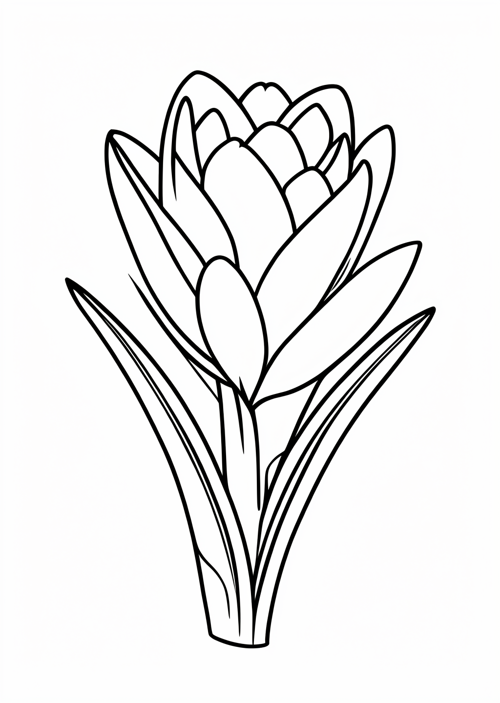 Crocus Flower Coloring Page – line art