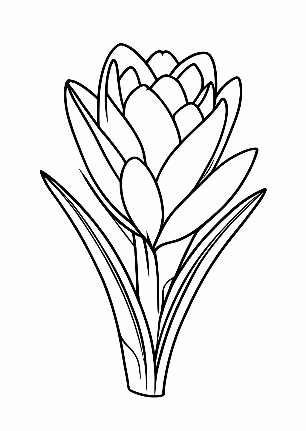 Crocus Flower Coloring Page