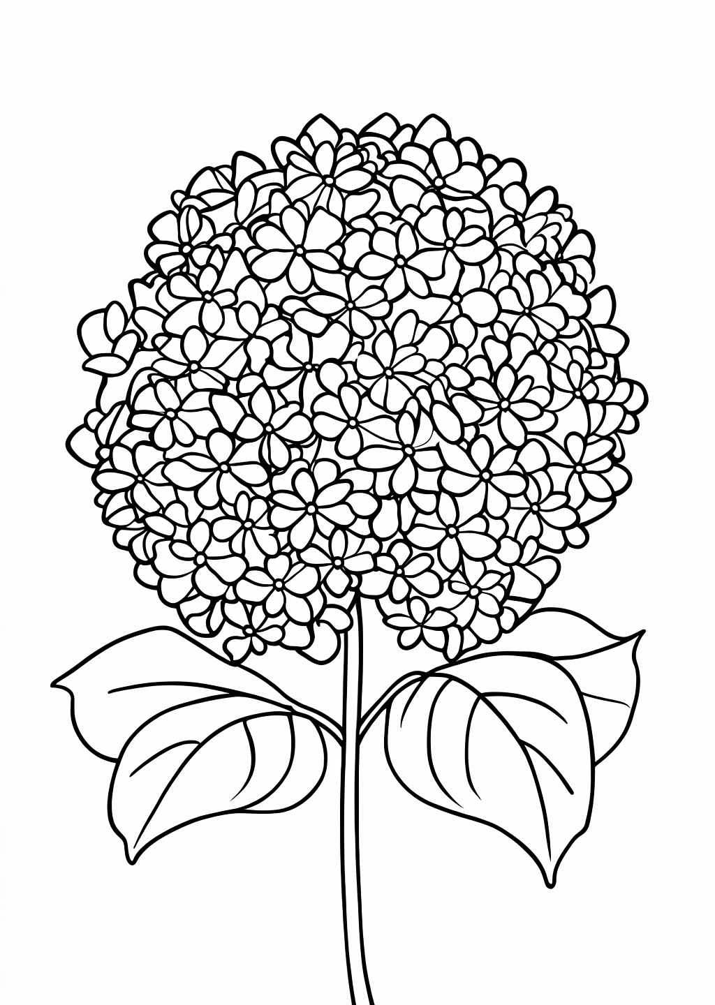Hydrangea Easy Coloring Page – line art
