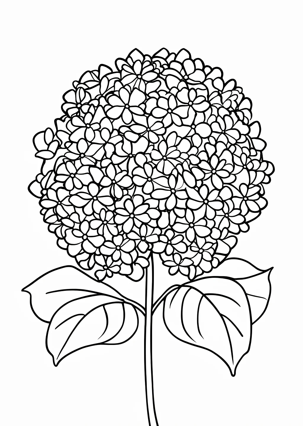 Hydrangea Easy Coloring Page