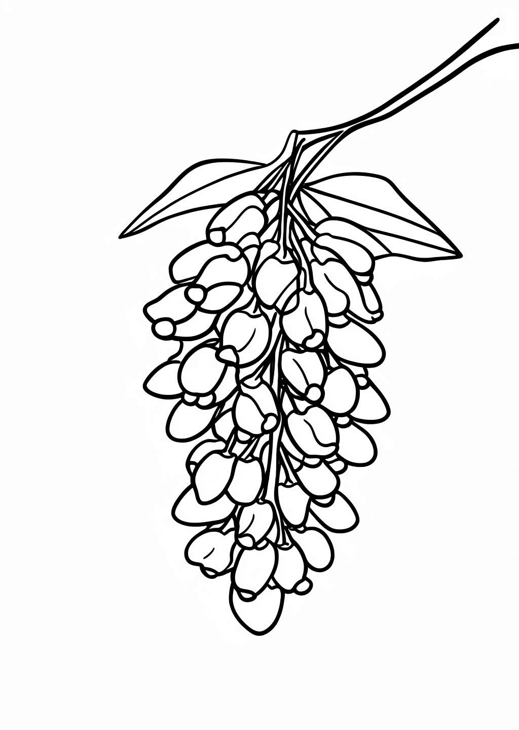 New Year Fuji Coloring Page – line art